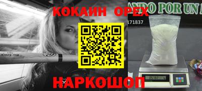 гашик Кингисепп