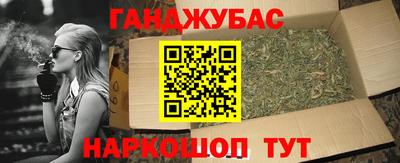 гашик Кингисепп