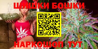 гашик Кингисепп