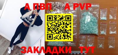 гашик Кингисепп