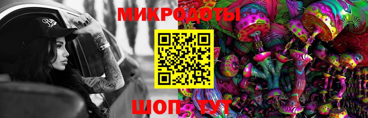 Псилоцибиновые грибы Psilocybe Королёв
